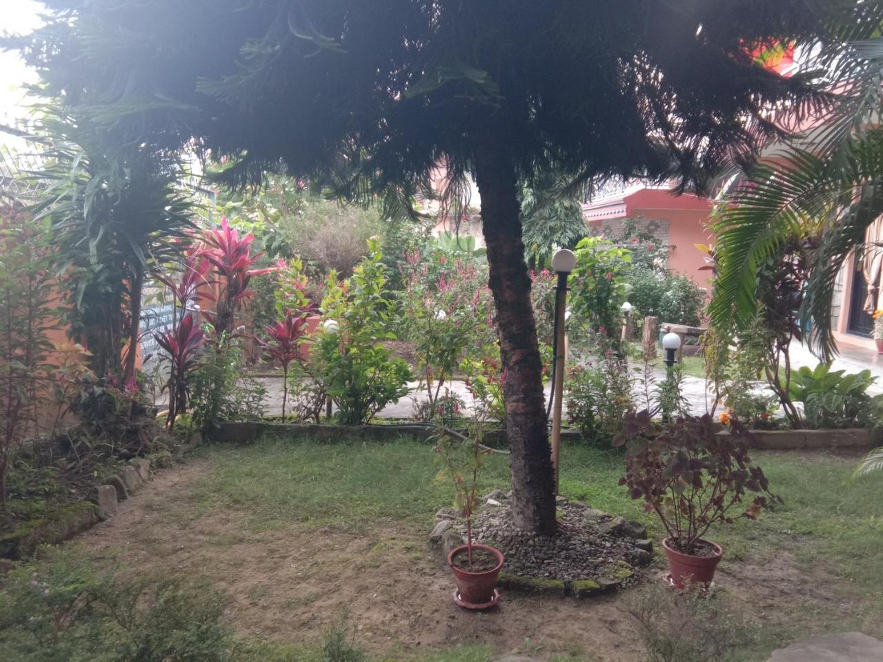 Kalpana G. House Pokhara Exterior foto